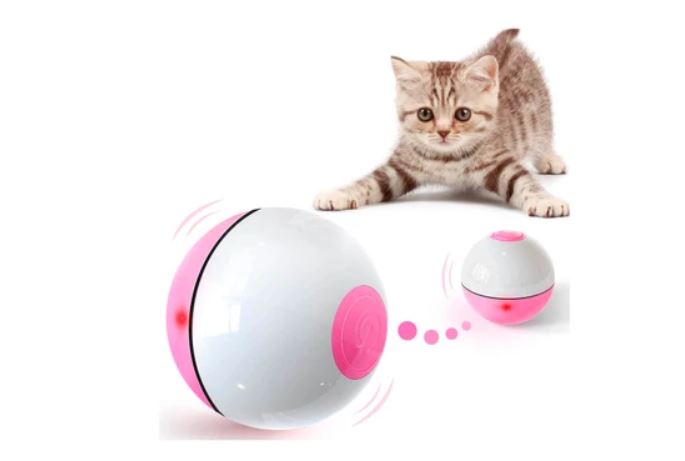 interactive--cat-toy