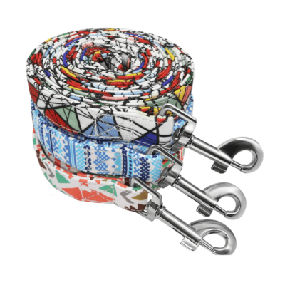 ⭐️Allpaws⭐️ - Art Deco Dog Lead - Blue
