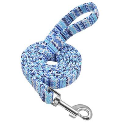 ⭐️Allpaws⭐️ - Art Deco Dog Lead - Blue