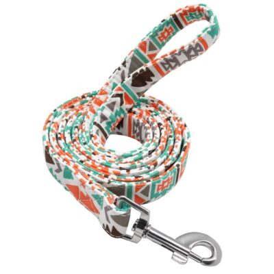 ⭐️Allpaws⭐️ - Art Deco Dog Lead - Orange
