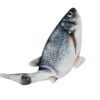 Flippity Floppy Flappy Fish Cat Toy - ⭐️Allpaws⭐️