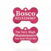 ⭐️Allpaws⭐️ - I'm Very High Maintenance You Don't Want Me | Bone Aluminium | Dog ID Pet Tag - DeepPink