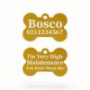 ⭐️Allpaws⭐️ - I'm Very High Maintenance You Don't Want Me | Bone Aluminium | Dog ID Pet Tag - Gold