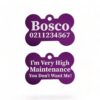 ⭐️Allpaws⭐️ - I'm Very High Maintenance You Don't Want Me | Bone Aluminium | Dog ID Pet Tag - Purple
