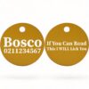 ⭐️Allpaws⭐️ - If You Can Read This I Will Lick You | Round Aluminium | Dog ID Pet Tag - Gold