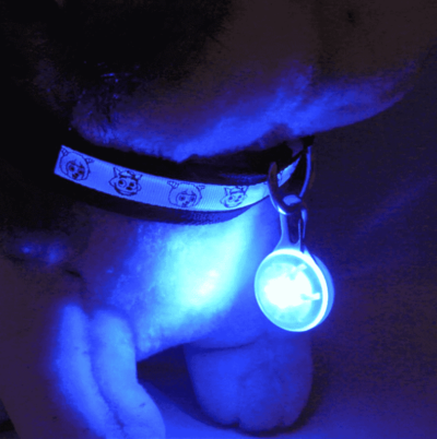 LED Dog Collar Light Pendant - ⭐️Allpaws⭐️