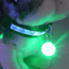 LED Dog Collar Light Pendant - ⭐️Allpaws⭐️