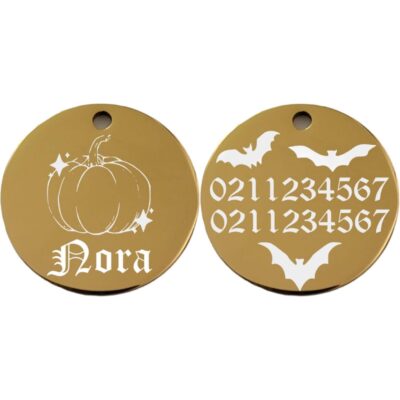 ⭐️Allpaws⭐️ - Little Pumpkin Round | Mirror Stainless | Cat & Dog ID Pet Tag - Gold / Small (Cat)