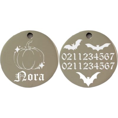 ⭐️Allpaws⭐️ - Little Pumpkin Round | Mirror Stainless | Cat & Dog ID Pet Tag - Silver / Small (Cat)