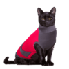 ⭐️Allpaws⭐️ - MAXX Medical Pet Care Clothing For Cats - 4XS
