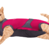 ⭐️Allpaws⭐️ - MAXX Medical Pet Care Clothing For Cats - 4XS
