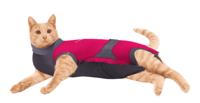 ⭐️Allpaws⭐️ - MAXX Medical Pet Care Clothing For Cats - 4XS