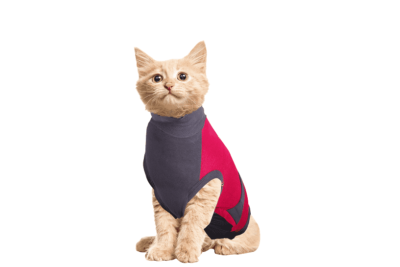 ⭐️Allpaws⭐️ - MAXX Medical Pet Care Clothing For Cats - 4XS