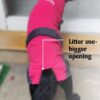 ⭐️Allpaws⭐️ - MAXX Medical Pet Care Clothing For Cats - 4XS
