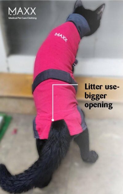 ⭐️Allpaws⭐️ - MAXX Medical Pet Care Clothing For Cats - 4XS