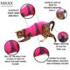⭐️Allpaws⭐️ - MAXX Medical Pet Care Clothing For Cats - 4XS