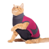 ⭐️Allpaws⭐️ - MAXX Medical Pet Care Clothing For Cats - 4XS