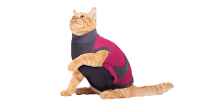 ⭐️Allpaws⭐️ - MAXX Medical Pet Care Clothing For Cats - 4XS