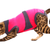 ⭐️Allpaws⭐️ - MAXX Medical Pet Care Clothing For Cats - 4XS