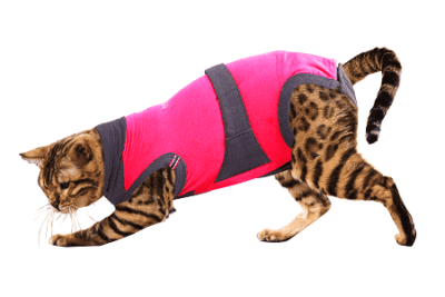 ⭐️Allpaws⭐️ - MAXX Medical Pet Care Clothing For Cats - 4XS