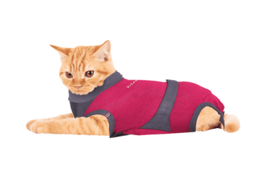 ⭐️Allpaws⭐️ - MAXX Medical Pet Care Clothing For Cats - 4XS