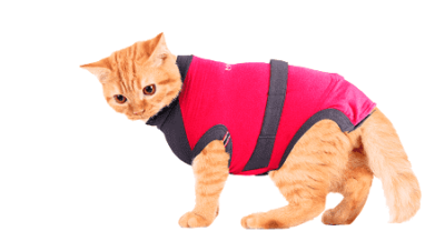 ⭐️Allpaws⭐️ - MAXX Medical Pet Care Clothing For Cats - 4XS