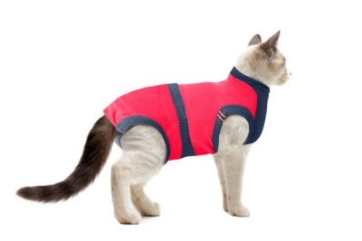⭐️Allpaws⭐️ - MAXX Medical Pet Care Clothing For Cats - 4XS