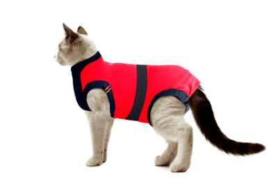 ⭐️Allpaws⭐️ - MAXX Medical Pet Care Clothing For Cats - 4XS