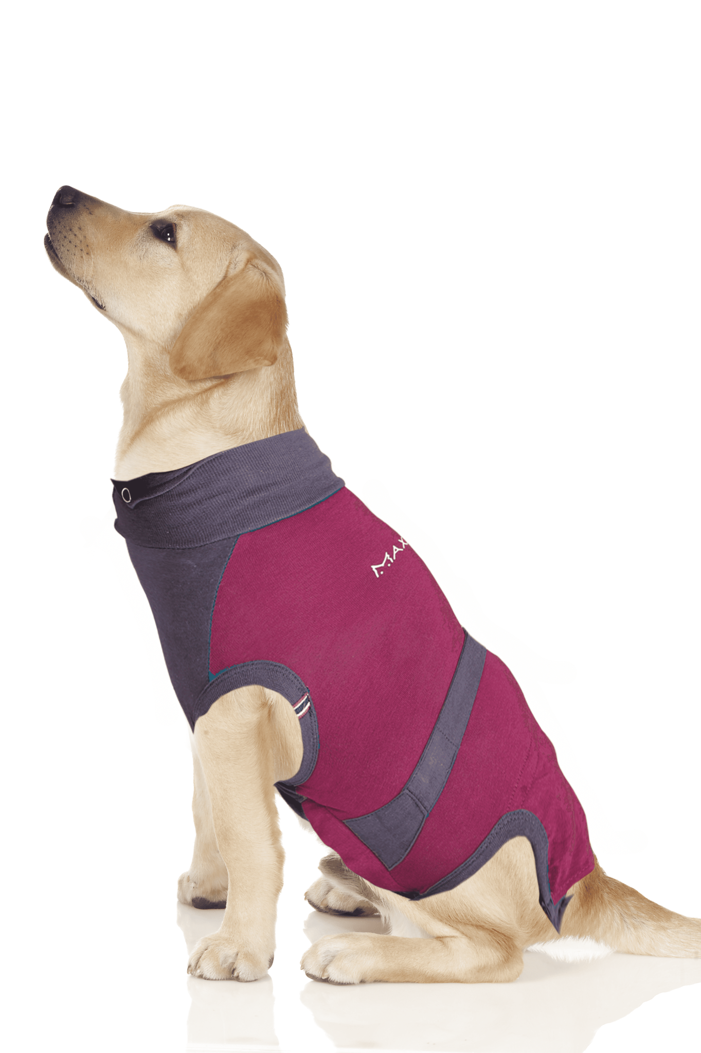 MAXX Medical Pet Clothing Body Suit