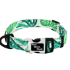 ⭐️Allpaws⭐️ - Monstera Dog Collar - S / No