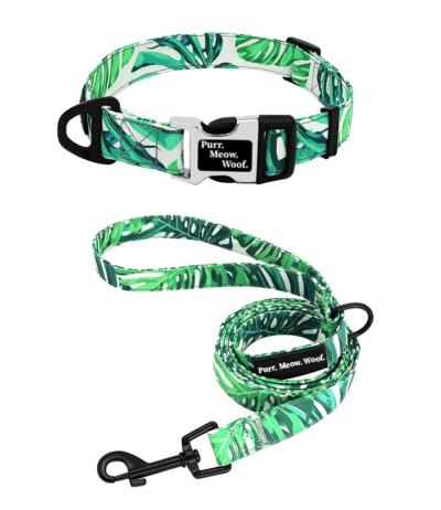 ⭐️Allpaws⭐️ - Monstera Dog Collar - S / Yes!