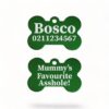 ⭐️Allpaws⭐️ - Mummy's / Daddy's Favourite Asshole | Bone Aluminium | Dog ID Pet Tag - MediumSpringGreen / Mum