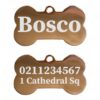⭐️Allpaws⭐️ - Name Front & 1 Number Address Back | Mirror Stainless | Bone Dog ID Pet Tag - BurlyWood / Small
