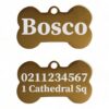 ⭐️Allpaws⭐️ - Name Front & 1 Number Address Back | Mirror Stainless | Bone Dog ID Pet Tag - Gold / Small