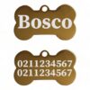 ⭐️Allpaws⭐️ - Name Front & 2 Numbers Back | Mirror Stainless | Bone Dog ID Pet Tag - Gold / Small