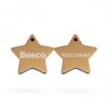 ⭐️Allpaws⭐️ - Name Front & Number Back | Mirror Stainless | Star Dog & Cat ID Pet Tag - BurlyWood / Dog (Large)