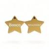 ⭐️Allpaws⭐️ - Name Front & Number Back | Mirror Stainless | Star Dog & Cat ID Pet Tag - Gold / Dog (Large)