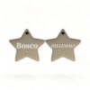 ⭐️Allpaws⭐️ - Name Front & Number Back | Mirror Stainless | Star Dog & Cat ID Pet Tag - Silver / Dog (Large)