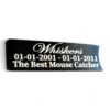 ⭐️Allpaws⭐️ - Pet Memorial Plaque Mirror Stainless - Black (Gloss) / Indoor