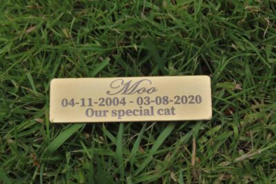 ⭐️Allpaws⭐️ - Pet Memorial Plaque Mirror Stainless - Black (Matte) / Indoor