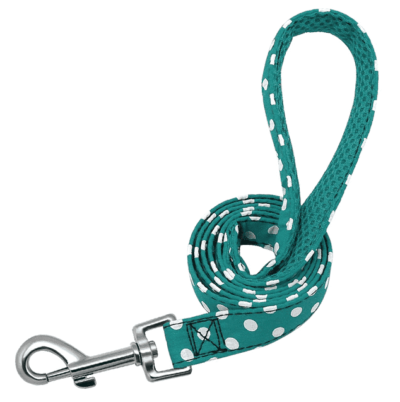 ⭐️Allpaws⭐️ - Polka Dot Dog Lead - MediumAquaMarine
