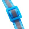 Reflective Breakaway Safety Cat Collar - ⭐️Allpaws⭐️