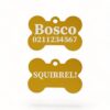 ⭐️Allpaws⭐️ - Squirrel! Funny | Bone Aluminium | Dog ID Pet Tag - Gold