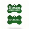 ⭐️Allpaws⭐️ - Squirrel! Funny | Bone Aluminium | Dog ID Pet Tag - MediumSpringGreen