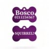 ⭐️Allpaws⭐️ - Squirrel! Funny | Bone Aluminium | Dog ID Pet Tag - Purple