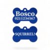 ⭐️Allpaws⭐️ - Squirrel! Funny | Bone Aluminium | Dog ID Pet Tag - RoyalBlue