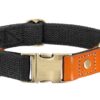 ⭐️Allpaws⭐️ - Two Tone Executive Dog Collar - Black / S / No