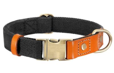 ⭐️Allpaws⭐️ - Two Tone Executive Dog Collar - Black / S / No