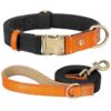 ⭐️Allpaws⭐️ - Two Tone Executive Dog Collar - Black / S / Yes!