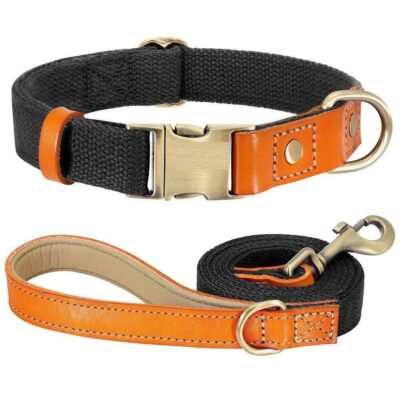 ⭐️Allpaws⭐️ - Two Tone Executive Dog Collar - Black / S / Yes!